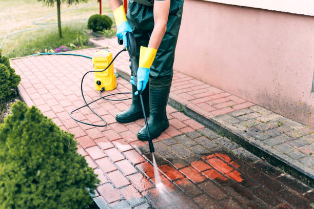 Best Roof Pressure Washing  in Faison, NC